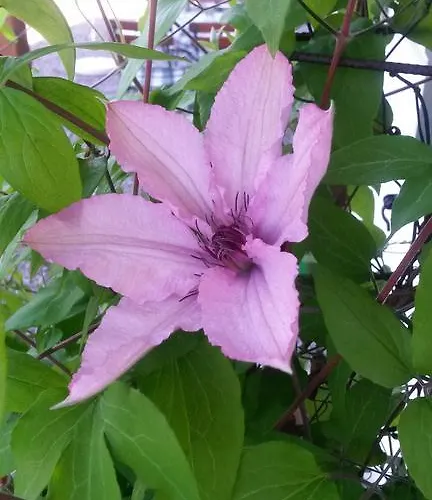 Mohr 게스트하우스 이멘슈타트임알가우